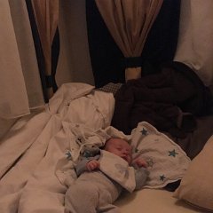 IMG 075